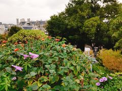 -乌山风景区
