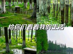 -艾溪湖湿地公园