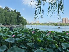 -济南大明湖景区