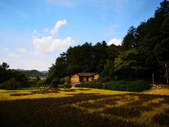 -韶山毛泽东同志故居