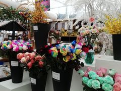 -荷兰花海