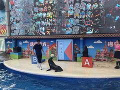 -成都浩海立方海洋公园