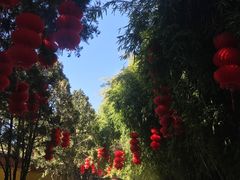 -罗布林卡