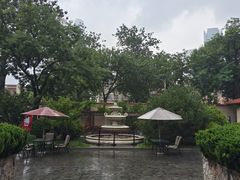 -静园(和平区)