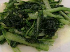 清炒小白菜-海岛渔村大酒店(云霄路店)