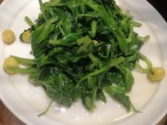 银杏豌豆尖-眉州东坡·熊猫主题餐厅(枫蓝店)