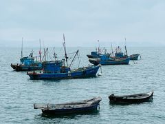 -海源公园