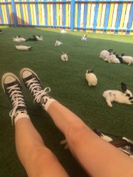 -萌宠亲子动物乐园(槐房万达店)