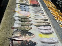 -健眺小海鲜(临海后山店)