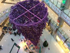 -凯德广场(学府店)