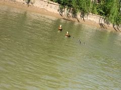 -南翠屏公园
