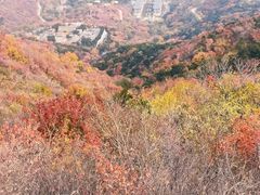 -北京西山国家森林公园