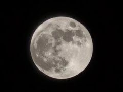 -BLUEO蓝猩先生·正品授权店(凯德Mall店)