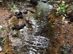 -滴水岩森林公园