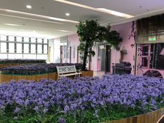 -上海颛桥万达广场