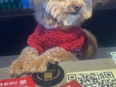 -亿诣蝎府炸酱面羊蝎子火锅(酷车小镇店)