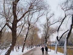 -颐和园-景明楼