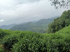 -西湖风景区十里琅珰-五云山