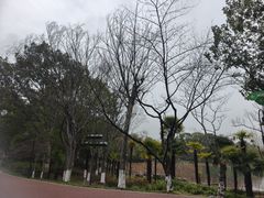 -金鸡湖桃花岛
