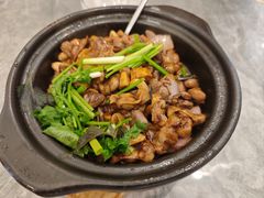 -朱记乳鸽王·非遗石岐乳鸽·全鸽宴(大兴旗舰店)