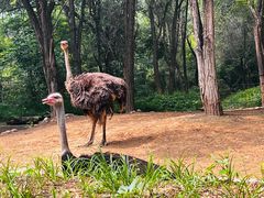 -北京野生动物园