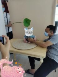 -我的故事影像馆·优优小王国儿童摄影(罗湖国贸店)