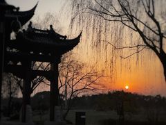 -广富林郊野公园