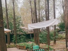 -林间山庄