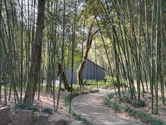 -兰亭风景区