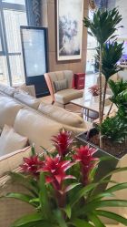 -北京米扬丽格医疗美容·联合丽格鼻整形中心