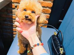 -大京园海鲜烧烤(东城路店)