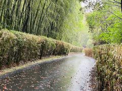 -天目湖涵田度假村