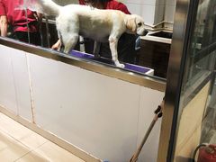 -宠物家(双井店)