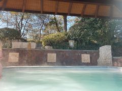 -天目湖涵田半山温泉