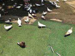 -石燕湖生态旅游景区