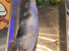 -喜井无限自助烤肉公司(石厦店)