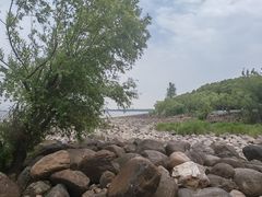 -吴淞炮台湾湿地森林公园烧烤区