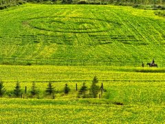 -扁都口生态休闲旅游区