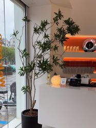 -WENDY·温迪皮肤管理