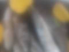 -宾朋海鲜美食特色餐厅·纯手工鲅鱼水饺(兴海路店)