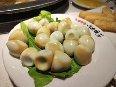 -川西坝子(老军营店)