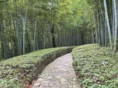 -天目湖涵田度假村