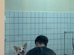 -猫力发电所·宠物专门店
