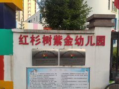 -红杉树紫金幼儿园