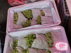 -双福水果批发市场