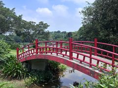 -东莞植物园