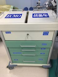 -上海交通大学医学院附属上海儿童医学中心(陆家嘴总院区)