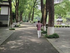 -忠山公园
