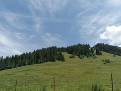 -新疆那拉提国家旅游度假区