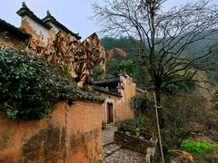-杨家堂村
